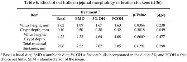 Effect of Oat Hulls Incorporated in the Diet or Fed as Free Choice on Growth Performance, Carcass Yield, Gut Morphology and Digesta Short Chain Fatty Acids of Broiler Chickens - Image 6