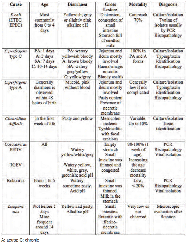 Table 3: Differential diagnosis of the main agents of post-weaning diarrhoea (modified from Martelli et al., 2013).