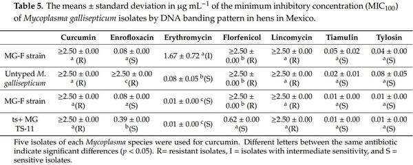 Isolation and Antimicrobial Sensitivity of Mycoplasma synoviae and Mycoplasma gallisepticum from Vaccinated Hens in Mexico - Image 5