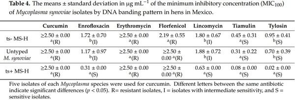 Isolation and Antimicrobial Sensitivity of Mycoplasma synoviae and Mycoplasma gallisepticum from Vaccinated Hens in Mexico - Image 4