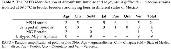 Isolation and Antimicrobial Sensitivity of Mycoplasma synoviae and Mycoplasma gallisepticum from Vaccinated Hens in Mexico - Image 2