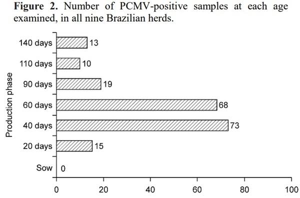 Molecular survey of Cytomegalovirus shedding profile in commercial pig herds in Brazil - Image 3