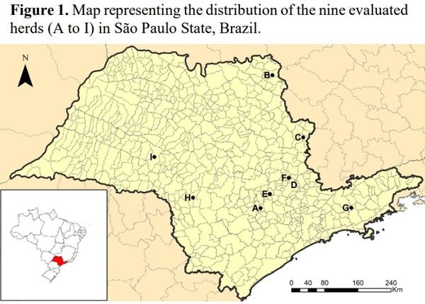 Molecular survey of Cytomegalovirus shedding profile in commercial pig herds in Brazil - Image 2