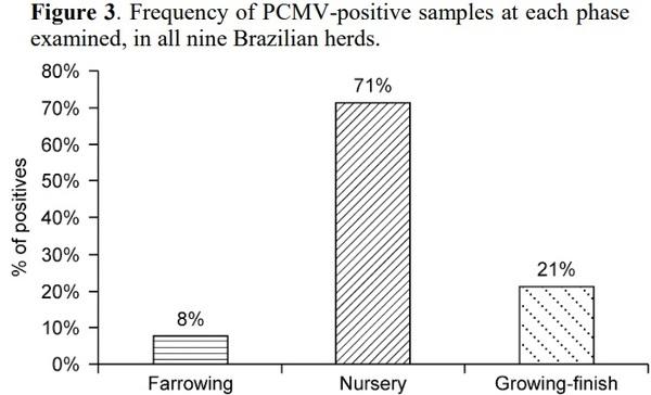 Molecular survey of Cytomegalovirus shedding profile in commercial pig herds in Brazil - Image 4