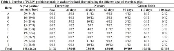 Molecular survey of Cytomegalovirus shedding profile in commercial pig herds in Brazil - Image 1