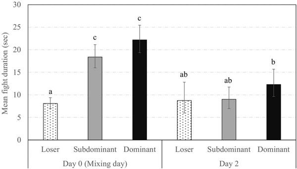 Social status and previous experience in the group as predictors of welfare of sows housed in large semi-static groups - Image 10