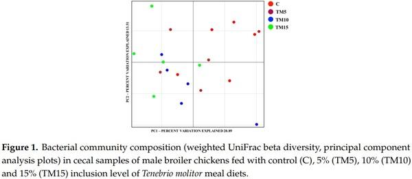 Yellow Mealworm Inclusion in Diets for Heavy-Size Broiler Chickens: Implications for Intestinal Microbiota and Mucin Dynamics - Image 1