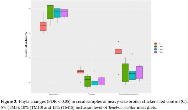 Yellow Mealworm Inclusion in Diets for Heavy-Size Broiler Chickens: Implications for Intestinal Microbiota and Mucin Dynamics - Image 3