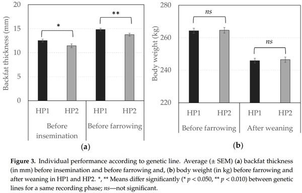 The Role of Genetic Selection on Agonistic Behavior and Welfare of Gestating Sows Housed in Large Semi-Static Groups - Image 8