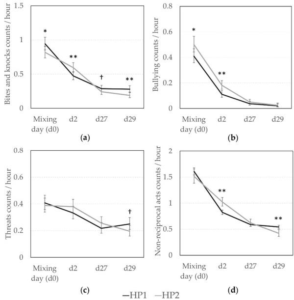 The Role of Genetic Selection on Agonistic Behavior and Welfare of Gestating Sows Housed in Large Semi-Static Groups - Image 2