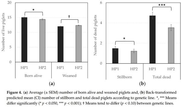 The Role of Genetic Selection on Agonistic Behavior and Welfare of Gestating Sows Housed in Large Semi-Static Groups - Image 9