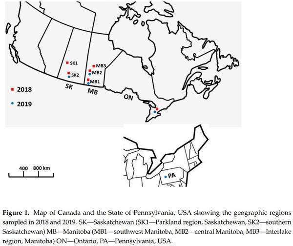 Population Genetic Structure and Chemotype Diversity of Fusarium graminearum Populations from Wheat in Canada and North Eastern United States - Image 1