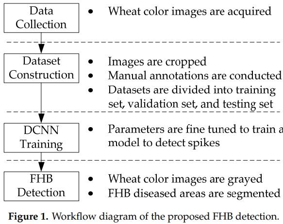 Detection of Fusarium Head Blight in Wheat Using a Deep Neural Network and Color Imaging - Image 1