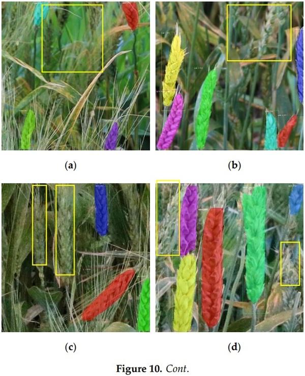 Detection of Fusarium Head Blight in Wheat Using a Deep Neural Network and Color Imaging - Image 14