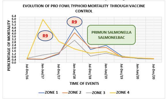 Fowl typhoid: a very current headache. Effective vaccination strategies against this avian salmonellosis - Image 4