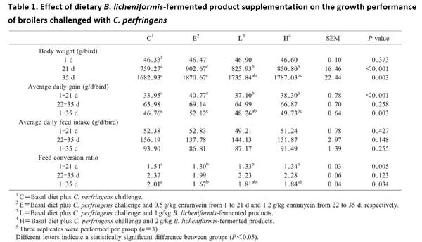 Bacillus licheniformis-Fermented Products Improve Growth Performance and Intestinal Gut Morphology in Broilers under Clostridium perfringens Challenges (Extract) - Image 1