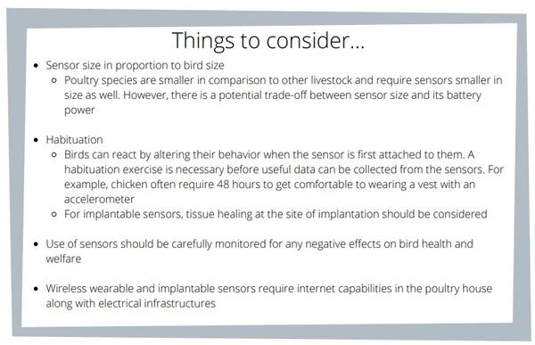 Technology to monitor poultry welfare: wearables and implantables - Image 3