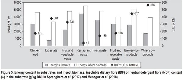 Substrate as insect feed for bio-mass production - Image 6