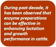 Technological advancement in poultry and livestock enzymes - Image 8