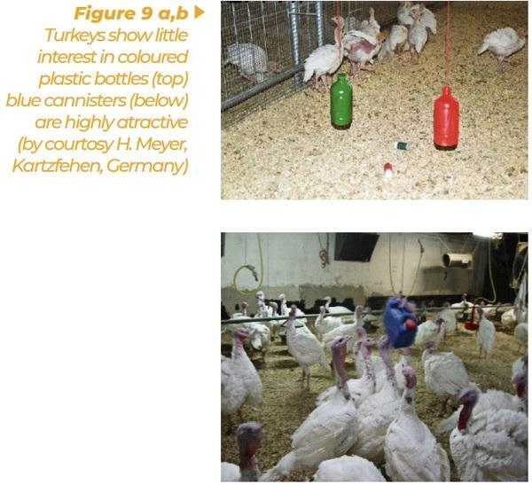 Enrichment for broilers and turkeys – from theoretical consideration to practical application - Image 9