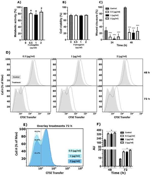 Aspergillus fumigatus Fumagillin Contributes to Host Cell Damage - Image 3