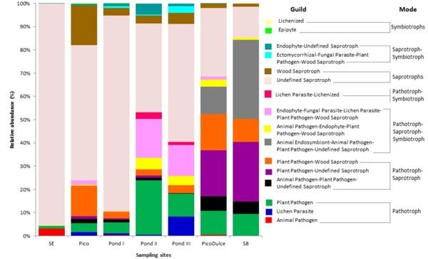 Fungal Diversity and Composition of the Continental Solar Saltern in Añana Salt Valley (Spain) - Image 6