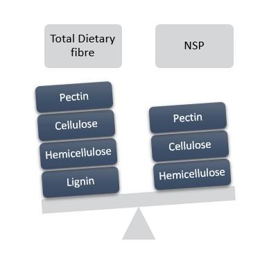 “NSP Enzymes” Securing the future - Image 1