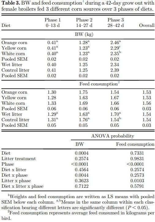 Orange corn diets associated with lower severity of footpad dermatitis in broilers - Image 3