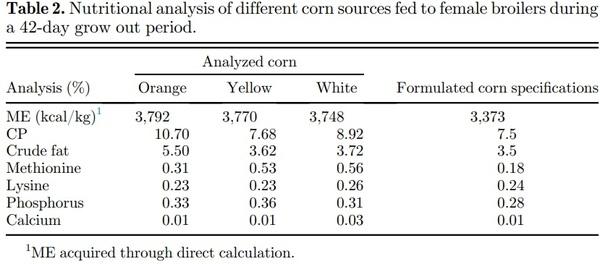 Orange corn diets associated with lower severity of footpad dermatitis in broilers - Image 2