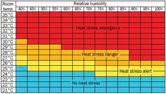 Heat Stress in monogastrics - Image 2