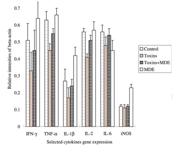Toxicity of different Fusarium mycotoxins on growth performance, immune responses and efficacy of a mycotoxin degrading enzyme in pigs (Extract) - Image 6