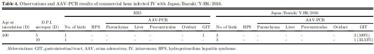 Research Note: Molecular and pathologic characterization of avian adenovirus isolated from the oviducts of laying hens in eastern Japan - Image 10