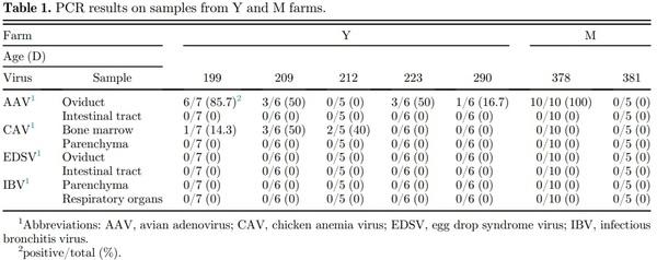 Research Note: Molecular and pathologic characterization of avian adenovirus isolated from the oviducts of laying hens in eastern Japan - Image 2