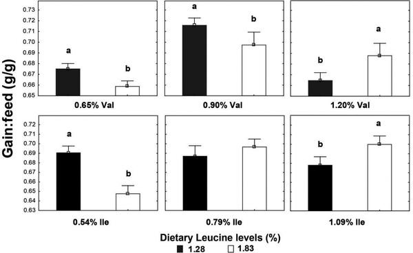 High leucine levels affecting valine and isoleucine recommendations in low-protein diets for broiler chickens - Image 11