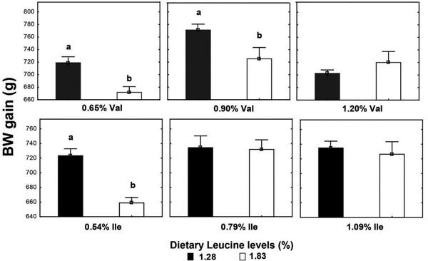 High leucine levels affecting valine and isoleucine recommendations in low-protein diets for broiler chickens - Image 10