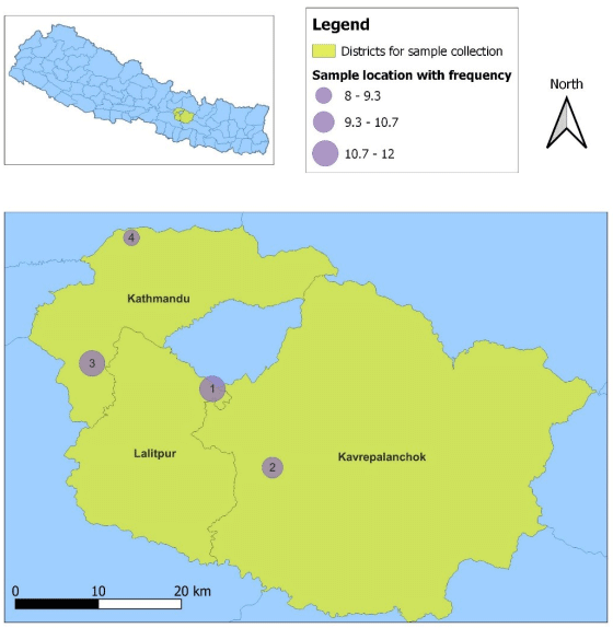 Figure 1: The map of sampling districts (yellow colored) of Nepal showing the sampling locations indicated as numbered circles. The sample locations are as follows: 1) Lakuribhanjyang, 2) Parthali-Bethankchowk, 3) Chalnakhel-Bosandanda and 4) Jhor-Dhakalchaur. The diameter of sampling locations are shown as varying proportionately with the number of samples collected from that location as indicated in figure legend.