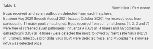 Screening Avian Pathogens in Eggs from Commercial Hatcheries in Nepal- an Effective Poultry Disease Surveillance Tool - Image 4
