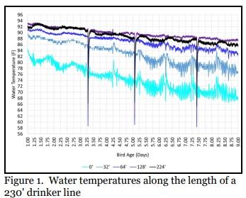 Controlling Water Temperature During Brooding - Image 1