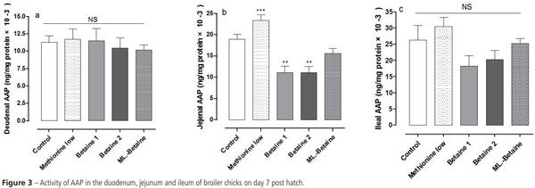 The effects of Post-Hatch Feeding with Betaine on the Intestinal Development of Broiler Chickens - Image 5