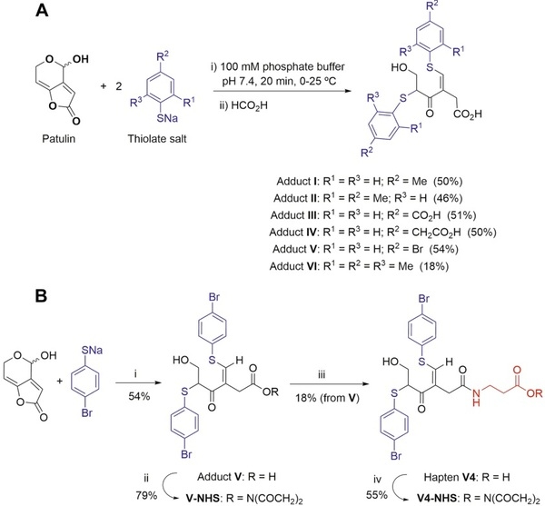 Chemical strategies for triggering the immune response to the mycotoxin patulin - Image 5
