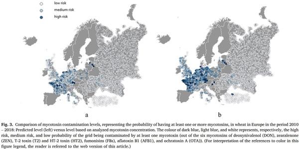 Regional prediction of multi-mycotoxin contamination of wheat in Europe using machine learning - Image 3