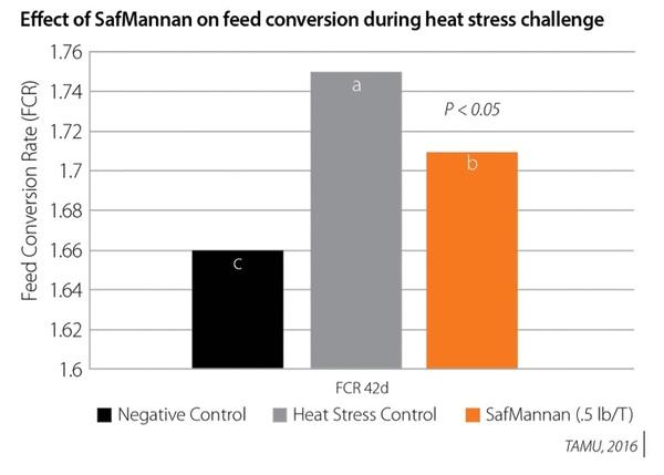 Supporting feed conversion during heat stress - Image 1