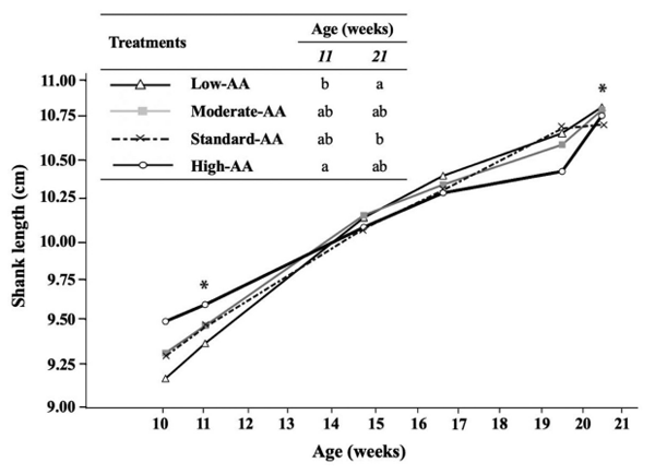 Figure 6. Effect of dietary AA levels1 on shank length of Cobb 500 SF breeder females at 10, 11, 15, 17, 20, and 21 wk of age. Shank length was measured from the hock to the footpad of live birds. *Significant difference between dietary AA levels (P < 0.05). n = 4 replicate pens per treatment of 3 pullets each. a-b Dietary treatments not sharing a lowercase letter in columns differ significantly by Tukey’s test at P < 0.05 level. 1 Low-AA, moderate-AA, standard-AA, and high-AA diets corresponding to 80, 90, 100, and 110% of the Cobb-Vantress (2018) recommendations, guided by dig Lys using balanced protein.
