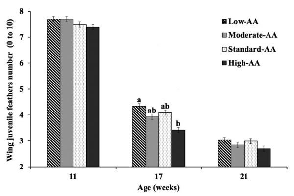 Figure 7. Effect of dietary AA levels1 on wing juvenile feathers number of Cobb 500 SF breeder females at 11, 17, and 21 wk of age. Results are presented as means § SEM. n = 2 replicate pens per treatment of 85 pullets each. a-b Means not sharing a lowercase letter differ significantly by Tukey’s test at P < 0.05 level. 1 Low-AA, moderate-AA, standard-AA, and high-AA diets corresponding to 80, 90, 100, and 110% of the Cobb-Vantress (2018) recommendations, guided by dig Lys using balanced protein.