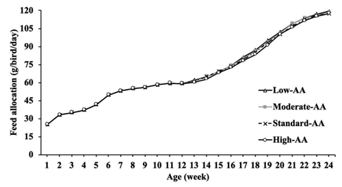 Figure 1. Feed allocation (g/bird/day) from 1 to 24 wk of age of Cobb 500 SF broiler breeder pullets fed four different dietary amino acid levels during rearing low-AA, moderate-AA, standard-AA, high-AA corresponding to 80, 90, 100 and 110% of the Cobb-Vantress (2018) recommendations, guided by dig Lys using balanced protein. n = 4 replicate pens per treatment of 85 pullets each.