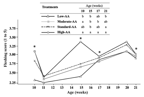 Figure 3. Effect of dietary AA levels1 on fleshing score of Cobb 500 SF breeder females at 10, 11, 15, 17, 20, and 21 wk of age. *Significant difference between dietary AA levels (P < 0.05). a-b Dietary treatments not sharing a lowercase letter in columns differ significantly by Tukey’s test at P < 0.05 level. n = 4 replicate pens per treatment of 3 pullets each. 1 Low-AA, moderate-AA, standard-AA, and high-AA diets corresponding to 80, 90, 100, and 110% of the Cobb-Vantress (2018) recommendations, guided by dig Lys using balanced protein.