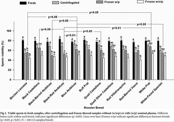 Seminal plasma amino acid profile in different breeds of chicken: Role of seminal plasma on sperm cryoresistance - Image 4
