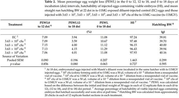 Effects of the In Ovo Vaccination of the ts-11 Strain of Mycoplasma gallisepticum in Layer Embryos and Posthatch Chicks - Image 2