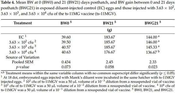 Effects of the In Ovo Vaccination of the ts-11 Strain of Mycoplasma gallisepticum in Layer Embryos and Posthatch Chicks - Image 4