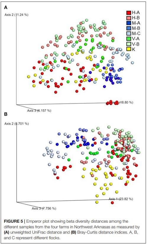 Comprehensive Survey of the Litter Bacterial Communities in Commercial Turkey Farms - Image 6